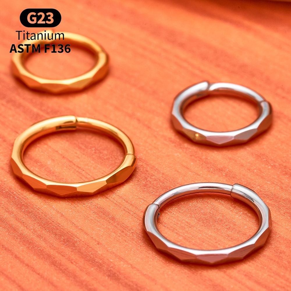 G23 Titanium Faceted CZ Hinged - Body Jewelry Septum 评论和价格